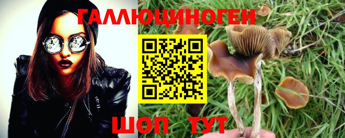 Галлюциногенные грибы мицелий Киров