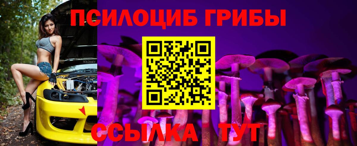 Псилоцибиновые грибы мухоморы  Галлюциногенные грибы прущие грибы  Киров  Вход с VPN 